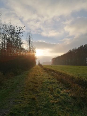 Stiltegebied bij Wijk bij Duurstede