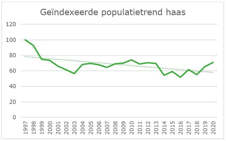 Geïndexeerde populatietrend haas (1997 = 100), CBS/NEM, 2021. Overgenomen uit Ter Harmsel et al, Staat van instandhouding haas en konijn, Wageningen Environmental Research rapport 3153, 2022