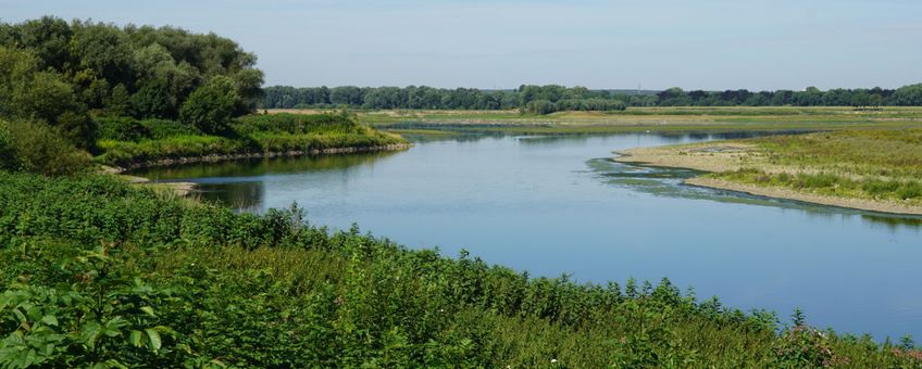 Grensmaas bij Voulwammes