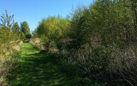 Lendskaip (copyrightvrij) Voedselbos op Landgoed Doornik