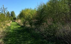 Voedselbos op Landgoed Doornik