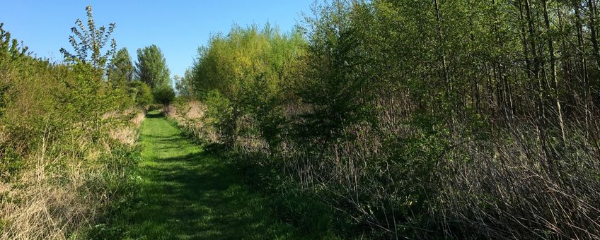 Voedselbos op Landgoed Doornik