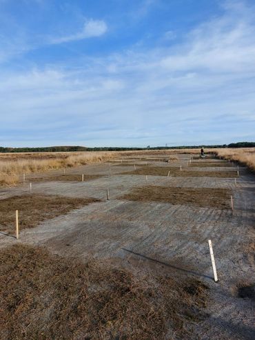 Geplagde plots op de Regte Heide, direct na het opbrengen van steenmeel, kalk en maaisel