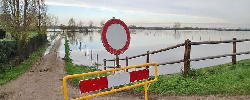 Hoogwater langs de Grensmaas