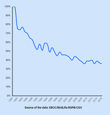 Trend Europese broedpopulatie spreeuwen tussen 1980 en 2015