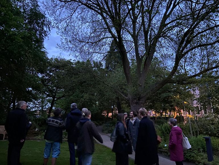 Vleermuisexcursie in Leidse Hortus