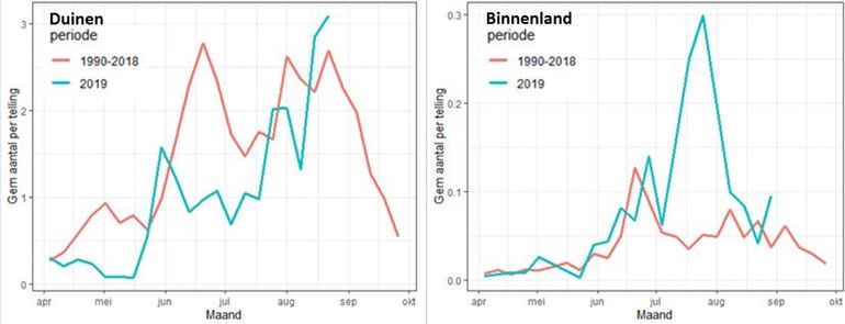 Gemiddeld aantal kleine parelmoervlinders per telling in de duinen (links) en in het binnenland (rechts)