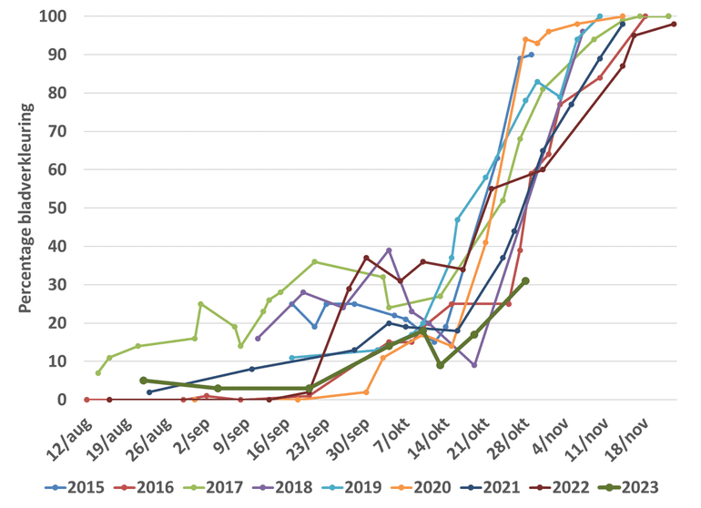 Verloop van de bladverkleuring van een zomereik naast basisschool De Vlinderboom in Ede van 2015 tot en met 2023