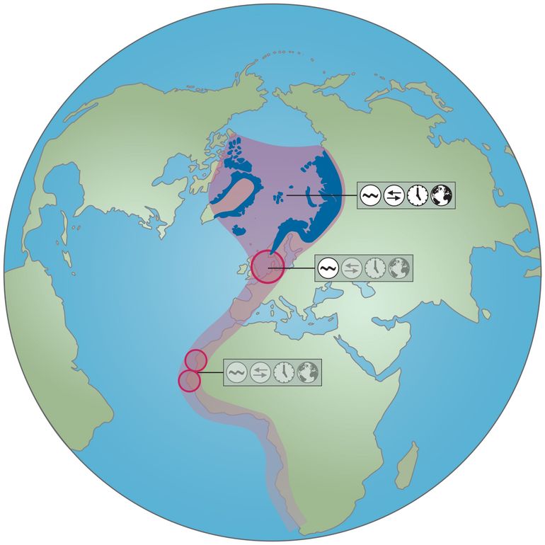 De Waddenzee ligt op een kruispunt van vogeltrekroutes die het Noordpoolgebied met de Europese en Afrikaanse kusten verbinden. Over de Waddenzee is er, vergeleken met het Noordpoolgebied, nog weinig kennis (vette symbolen) over de effecten van klimaatverandering op vogels. Zoals afname van geschikt habitat (golven), veranderde ecologisch interacties (pijlen), veranderingen in fenologie (klok) of veranderingen in verspreiding (globe).