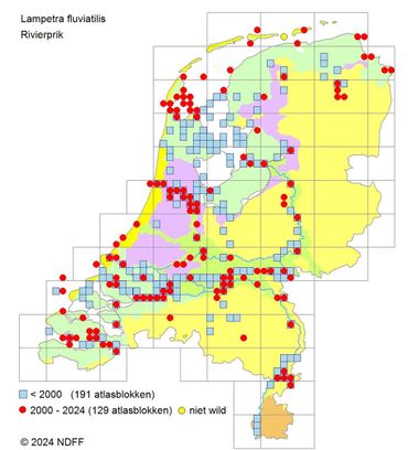 Verspreiding van de rivierprik in Nederland