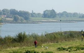 RIVM Beeldbank Uiterwaarde