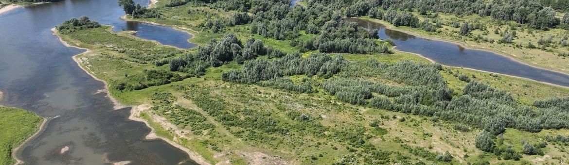 Luchtfoto van de Millingerwaard in de Gelderse Poort
