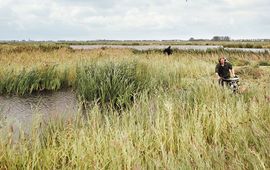 Staatsbosbeheer Riet maaien