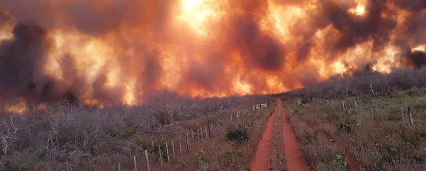 Brand vlakbij