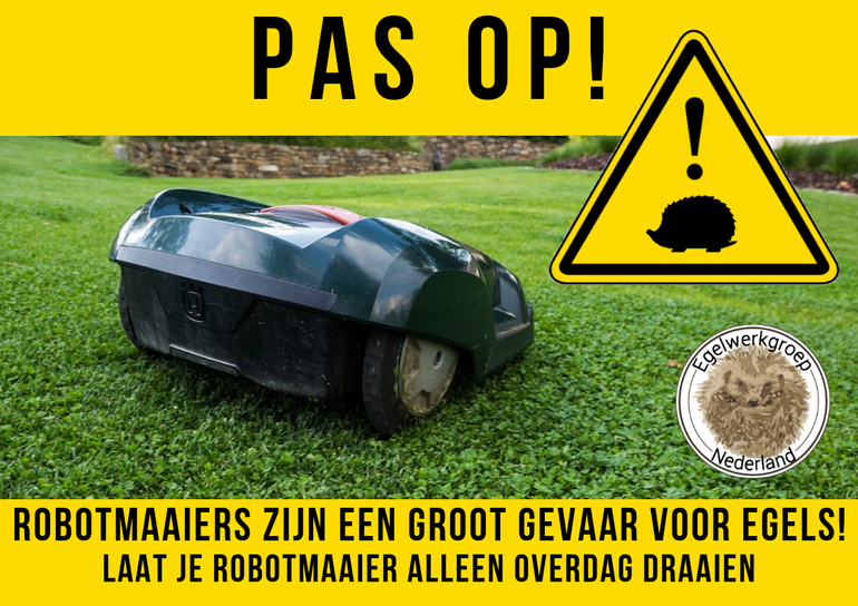 De Egelwerkgroep waarschuwt voor het gevaar van robotmaaiers voor egels