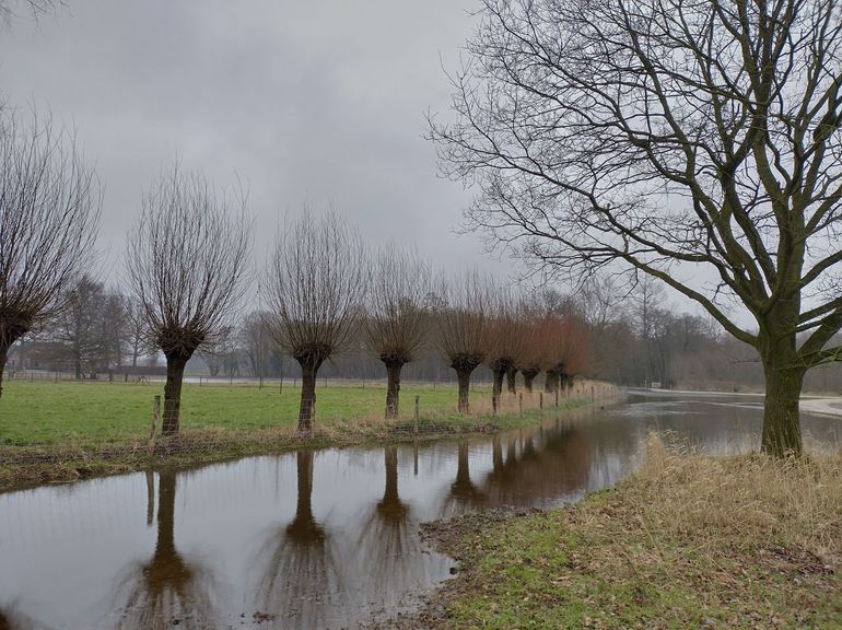 Een van de slenken op de Zumpe; een lager deel in het landschap waar in de natte periode het teveel aan water wordt afgevoerd richting de Doetinchemse Slinge. Vroeger ging het water van oost naar west, richting het gemaal. In de nieuwe situatie wordt het gebied volledig gevuld met water uit het gebied, aangevuld met regenwater. Pas als het systeem vol is, wordt het teveel aan water via een duiker afgevoerd richting de Doetinchemse Slinge