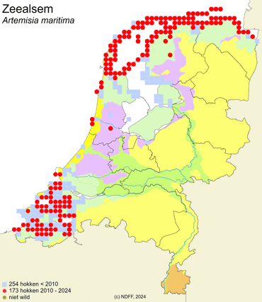 Verspreiding van Zeealsem in Nederland.