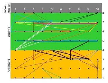 Verplaatsingen van individuele Veldmuizen op basis van terugvangsten. Elke zwarte stip stelt een inloopval voor