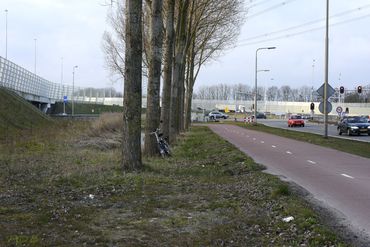 Berm langs drukke weg met Nonnenkapkluifzwammen 