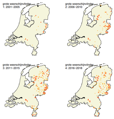 Sinds 2006 gaat de grote weerschijnvlinder vooruit 