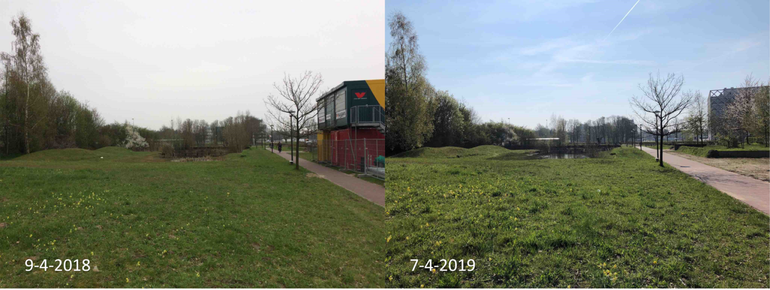 Verschil in ontwikkeling van de natuurtuin naast het Lumen gebouw van Wageningen University tussen 9 april 2018 en 7 april 2019