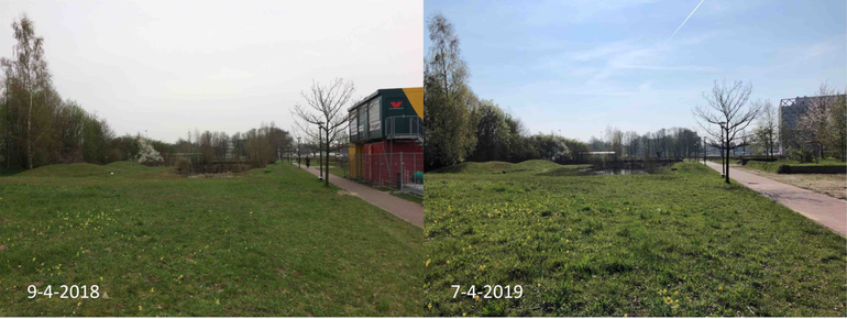 Verschil in ontwikkeling van de natuurtuin naast het Lumen gebouw van Wageningen University tussen 9 april 2018 en 7 april 2019