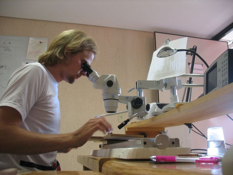 Measuring tree rings of tropical cedar trees in Mexico, in 2008