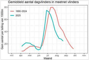 Gemiddeld aantal vlinders per 1000 meter in 2025 ten opzichte van de afgelopen 35 jaar (voorlopige resultaten)