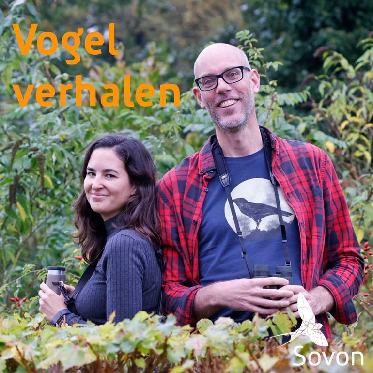 In de podcast Vogelverhalen komt elke maand een andere vogel aan bod