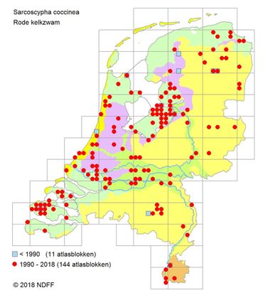 Verspreidingskaartje Rode kelkzwam