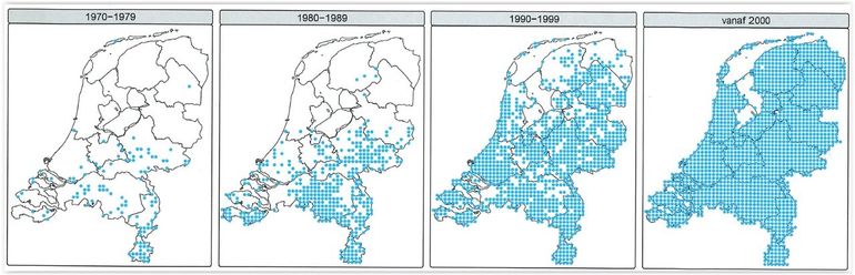 Verspreiding van de gehakkelde aurelia tussen 1970 en 2024