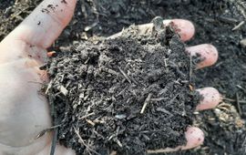 Compost