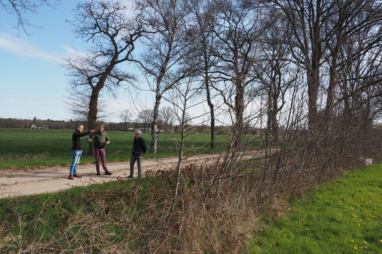 Een wandeling over een zandweggetje in Zuidloo