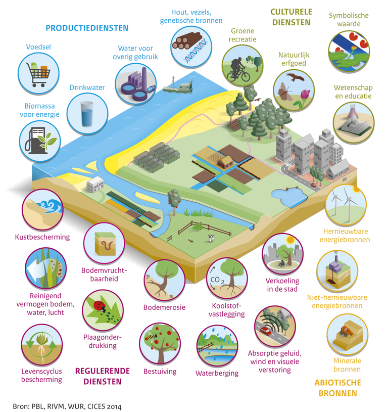 Ecosysteemdiensten