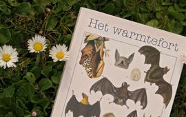 Erik Korsten De omslag van Warmtefort van Marieke Lucas Rijneveld