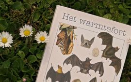 De omslag van Warmtefort van Marieke Lucas Rijneveld