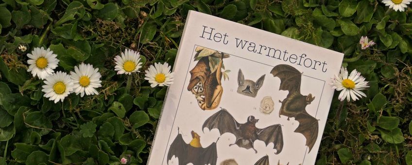 De omslag van Warmtefort van Marieke Lucas Rijneveld