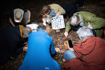 Zoeken naar bodemdieren tijdens de 'Bodemdierensafari by night' bij de opening van de tiende Bodemdierendagen in Arboretum De Dreijen in Wageningen 