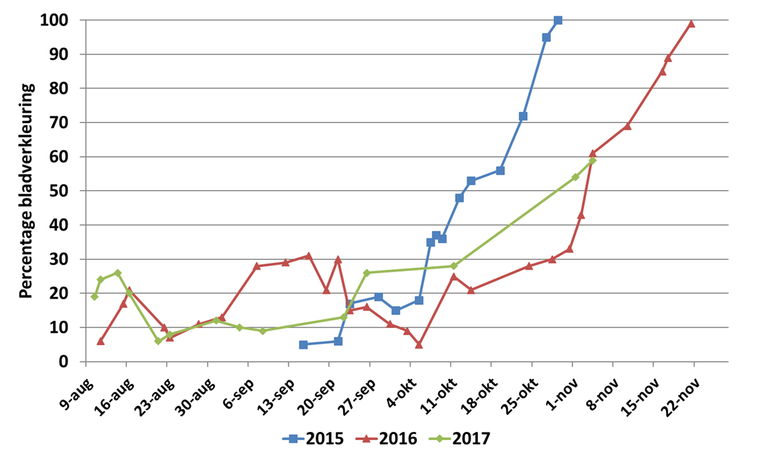 Verloop bladverkleuring van een berk in de Lumentuin in Wageningen in 2015, 2016 en 2017