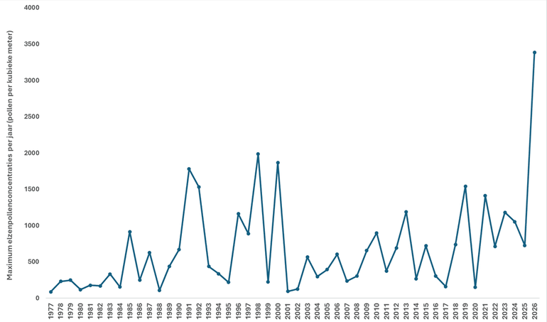De maximum elzenpollenconcentratie per jaar (aantal pollen per kubieke meter lucht) bij het LUMC