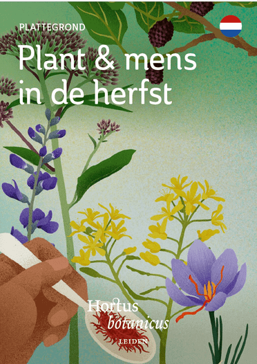 Voorzijde Themaplattegrond 'Plant & mens in de herfst'