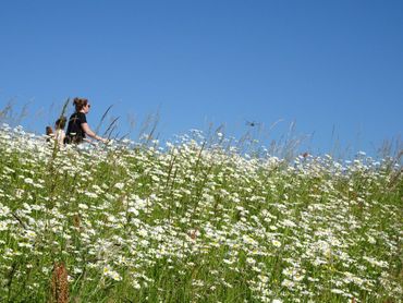 Toekomst voor Natuur gaat over alle natuur, over Natura 2000, maar ook over wegbermen en maaibeheer