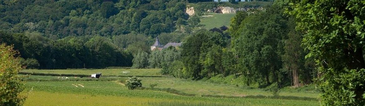 Stroomgebied van de Geul bij Valkenburg