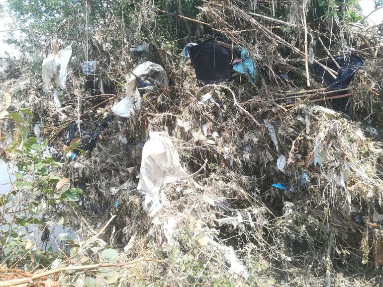 Macroplastics entangled on a riverbank after the flood