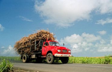 Suikerplantages bij Bel Air op Mauritius (2004)