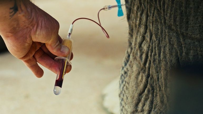 Beeld uit de mini-docu WayFinder Award voor Mirte Bosse