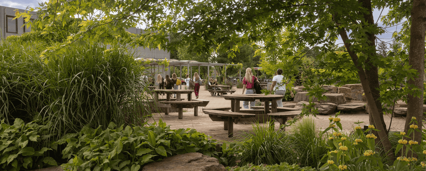 Het groene schoolplein van Metameer (VO) in Boxmeer is een plek om te ontdekken. Leerlingen vinden er ruimte om te spelen, leren en experimenteren. Het podium wordt gebruikt voor optredens én voor interactieve buitenlessen, waarin docenten de natuur als klaslokaal inzetten.