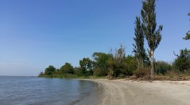 Habitat op de overgang van zoet en zout water, Tagangrog Baai (Rusland)