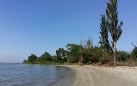 Frank Wesselingh Habitat op de overgang van zoet en zout water, Tagangrog Baai (Rusland)