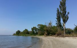 Habitat op de overgang van zoet en zout water, Tagangrog Baai (Rusland)